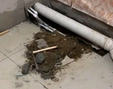 揭阳市卫生间漏水检测哪家好